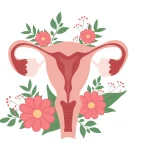 Schéma artistique de l’utérus avec fleurs représentant le cycle féminin