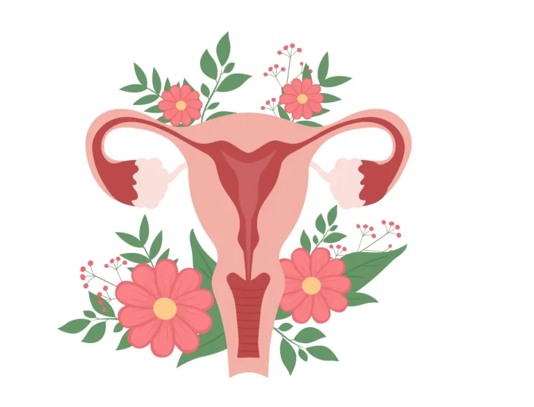Schéma artistique de l’utérus avec fleurs représentant le cycle féminin